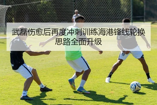 武磊伤愈后再度冲刺训练海港锋线轮换思路全面升级